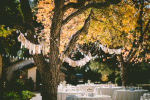 summer party decorations and dressed tables in a garden under trees
